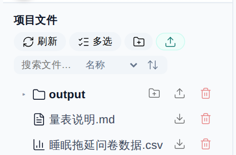 项目文件区：上传好的数据文件与 output 目录